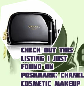 Chanel makeup pouch